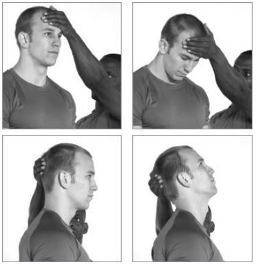 Укрепление шеи (вперед и назад)