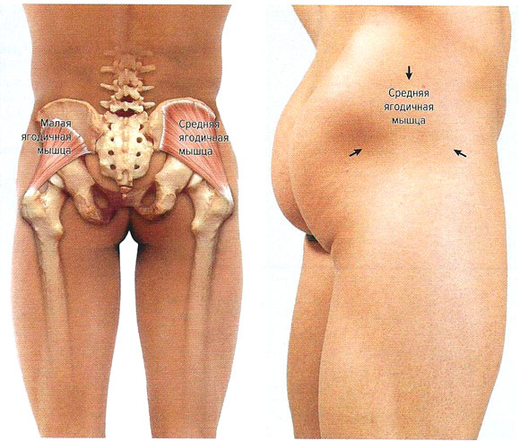 Файл:Mishci sport49.jpg