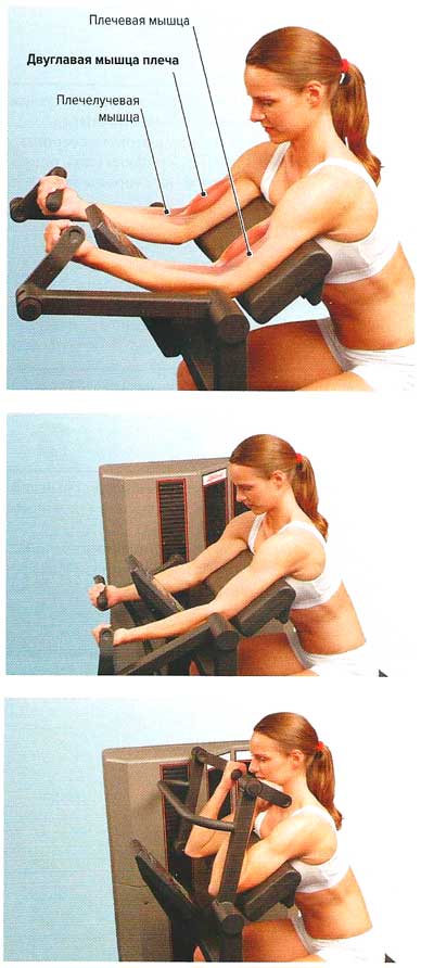 Файл:Mishci sport101.jpg