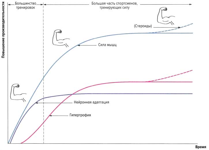 Файл:Mishci sport139.jpg