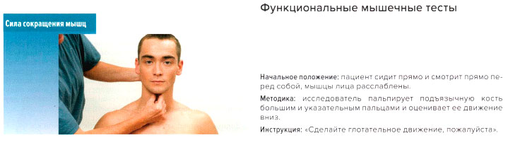 Функциональные мышечные тесты