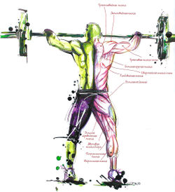 Рывок штанги. Фаза 5 - Подсед под штангу
