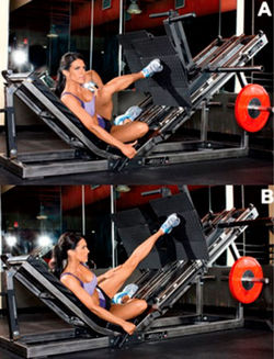 Боковой жим ногой