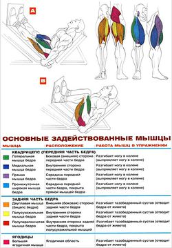 Жим ногами