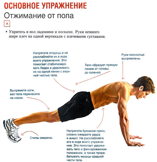 Основное упражнение: отжимание от пола