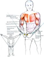 Техника выполнения кроссовера