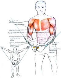 Техника выполнения кроссовера