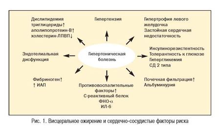 Рис.1. Висцеральное ожирение и сердечно-сосудистые факторы риска
