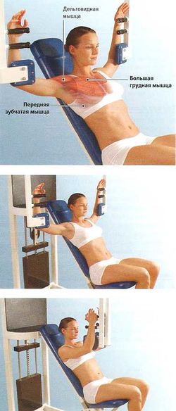 «Баттерфляй»