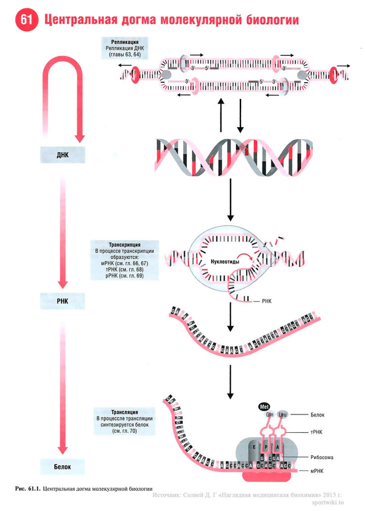Файл:Scan132 1.jpg