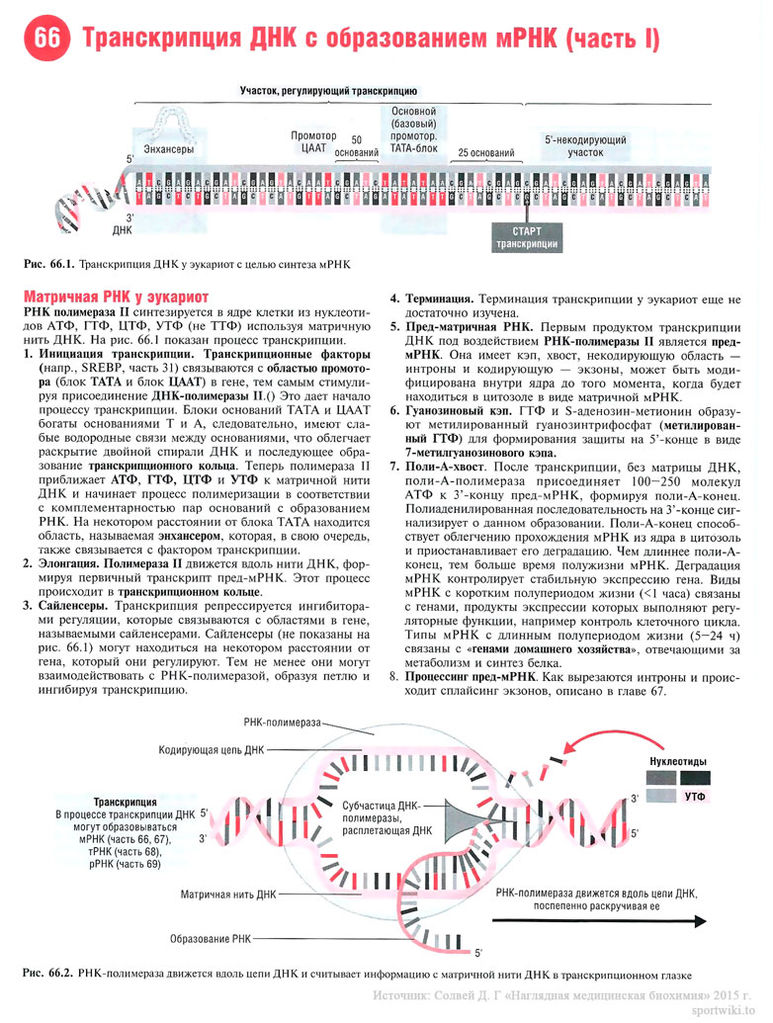Файл:Scan142 1.jpg