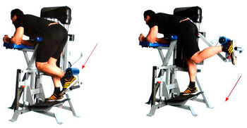 Подъём ноги на тренажёре