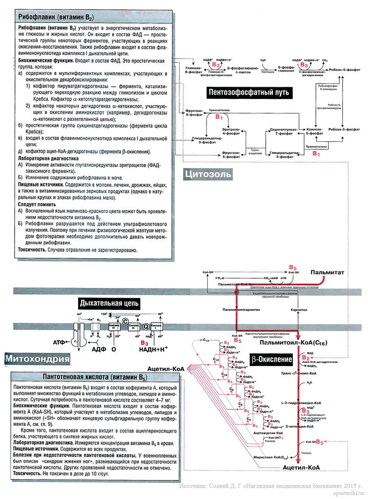 Файл:Scan117 1.jpg