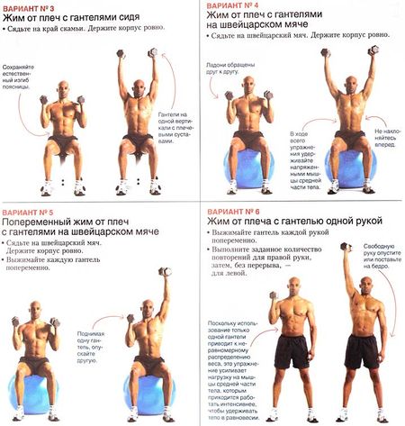 Жим гантелей сидя