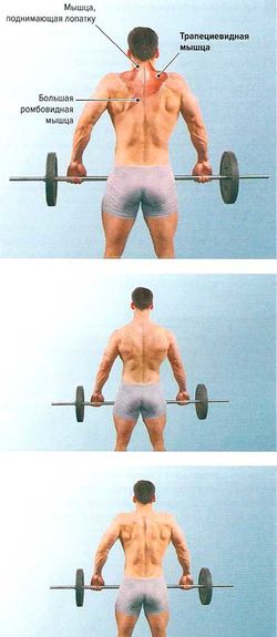 Шраги со штангой