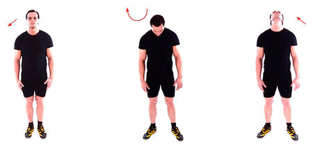 Наклоны головы вперед и назад