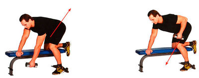 Тяга гантели одной рукой в наклоне