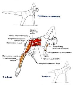 Махи ногами стоя на колене