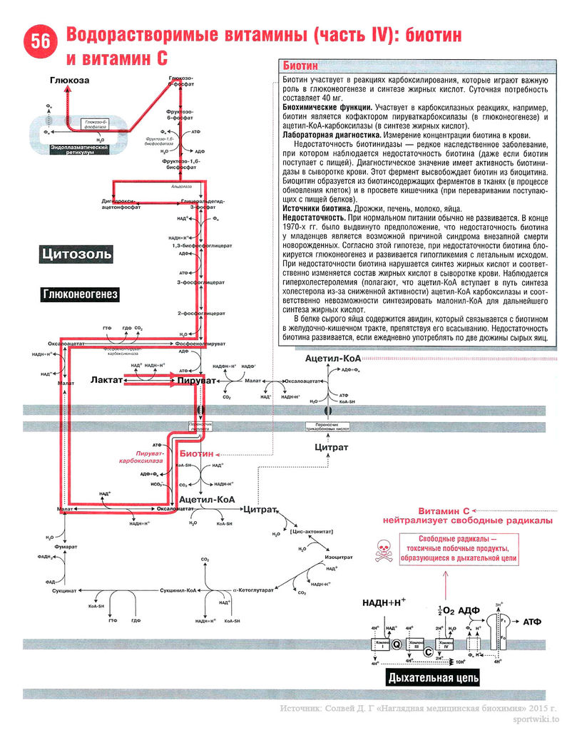 Файл:Scan122 1.jpg