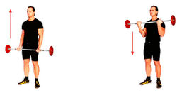 Подъем штанги на бицепс