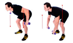 Разведение рук с гантелями в наклоне вперед