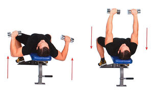 Жим гантелей лежа