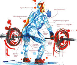 Подъем штанги на грудь. Фаза 4 - Вторая тяга