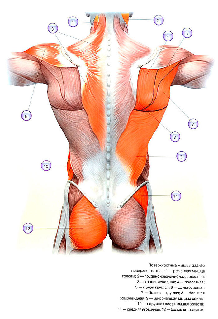 Файл:Bb 2 12.jpg