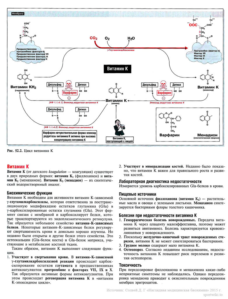 Файл:Scan115 1.jpg