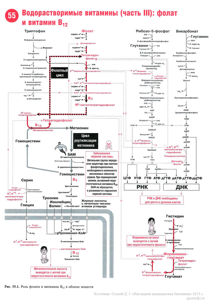 Файл:Scan120 1.jpg