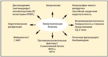 Рис.1. Висцеральное ожирение и сердечно-сосудистые факторы риска