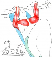 Французский жим
