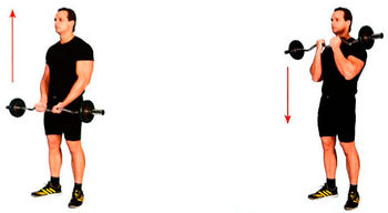 Сгибание рук с использованием EZ-грифа