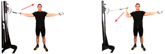Тяга троса на бицепс сбоку стоя
