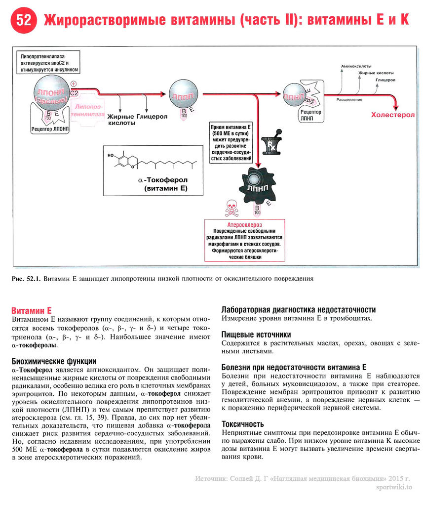 Файл:Scan114 1.jpg