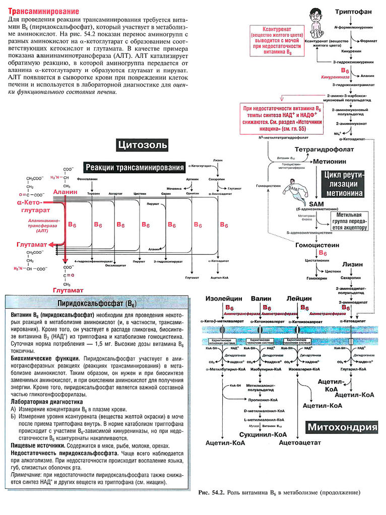 Файл:Scan119 1.jpg