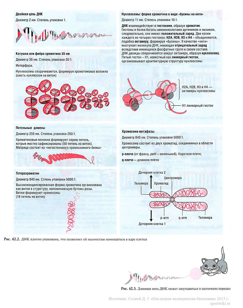 Файл:Scan135 1.jpg