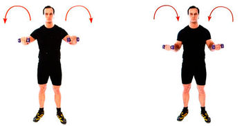 Поворот кистей с гантелями