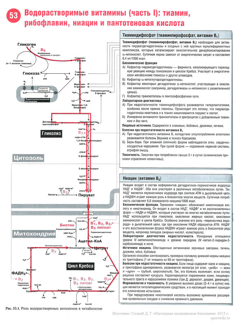Файл:Scan116 1.jpg