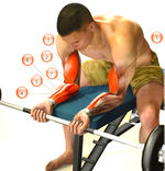 сгибание запястий