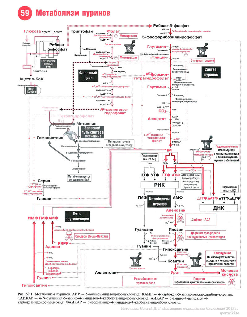 Файл:Scan128 1.jpg