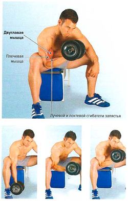 Концентрированное сгибание