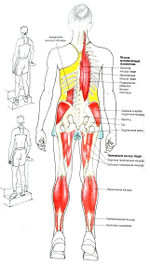 подъем на носках стоя