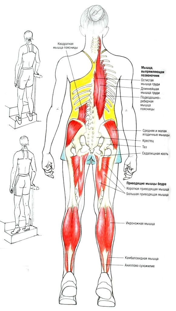 Файл:SAM 4880.jpg
