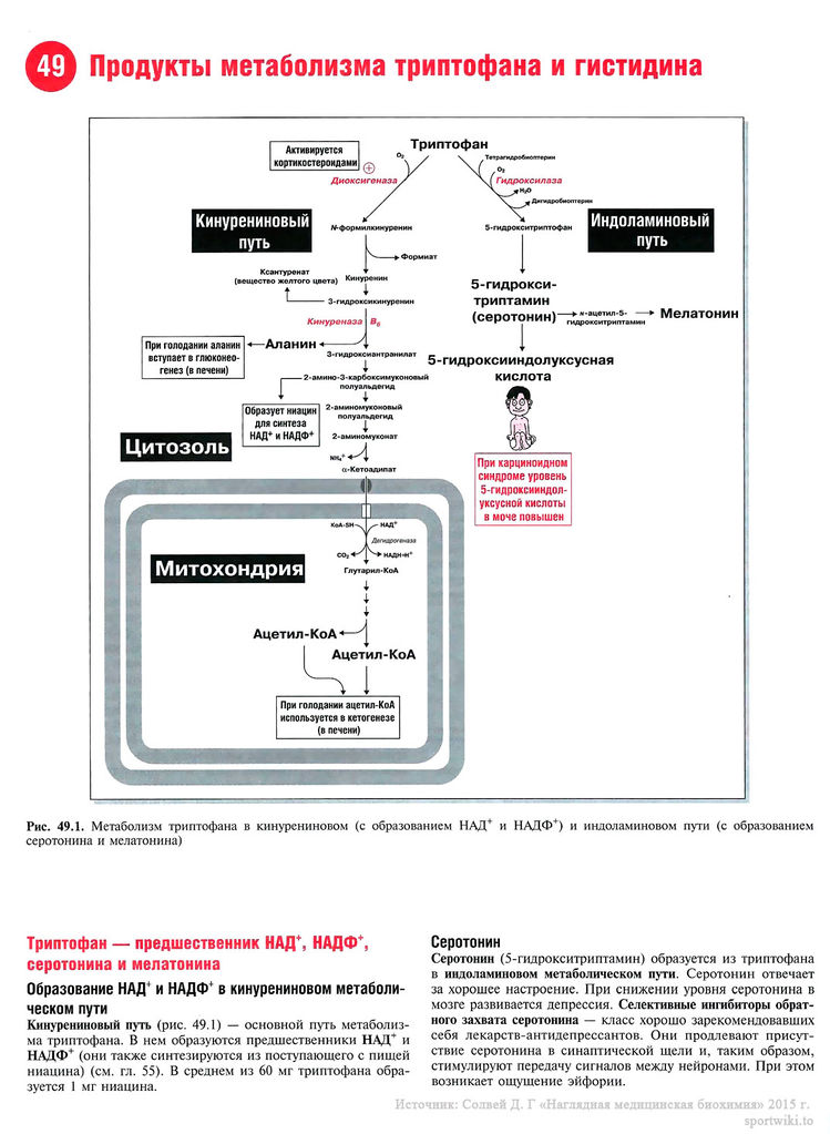 Файл:Scan108 1.jpg
