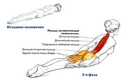Разгибание спины лежа на животе