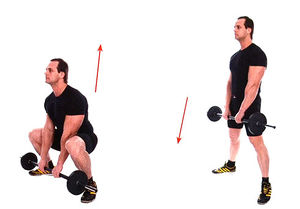 Становая тяга с прямой спиной (техника)