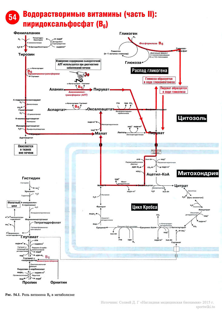 Файл:Scan118 1.jpg