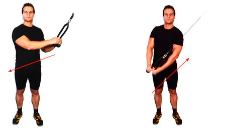 Тяга двумя руками стоя в нижнем блоке