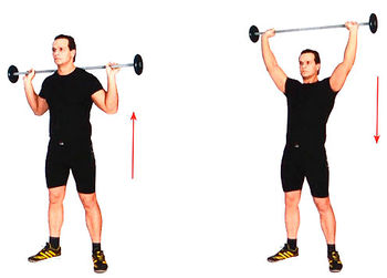 Жим штанги стоя из-за головы